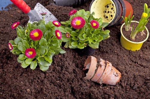 Landscape design and planting in a Barkingside garden