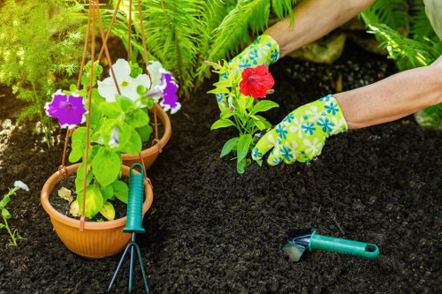 Garden landscaping complaint review in progress