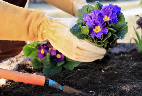 Low-maintenance soft landscaping features for Barkingside homes and businesses