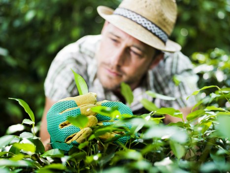 Management supporting safe and professional landscaping operations